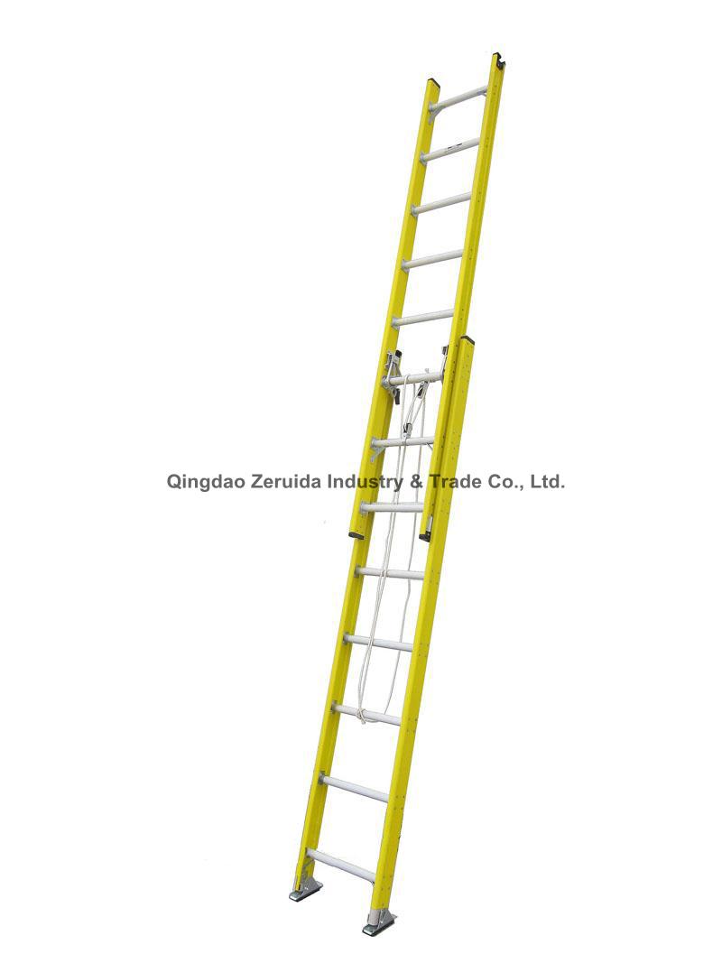 Extension ladder(ZRDT-8006)